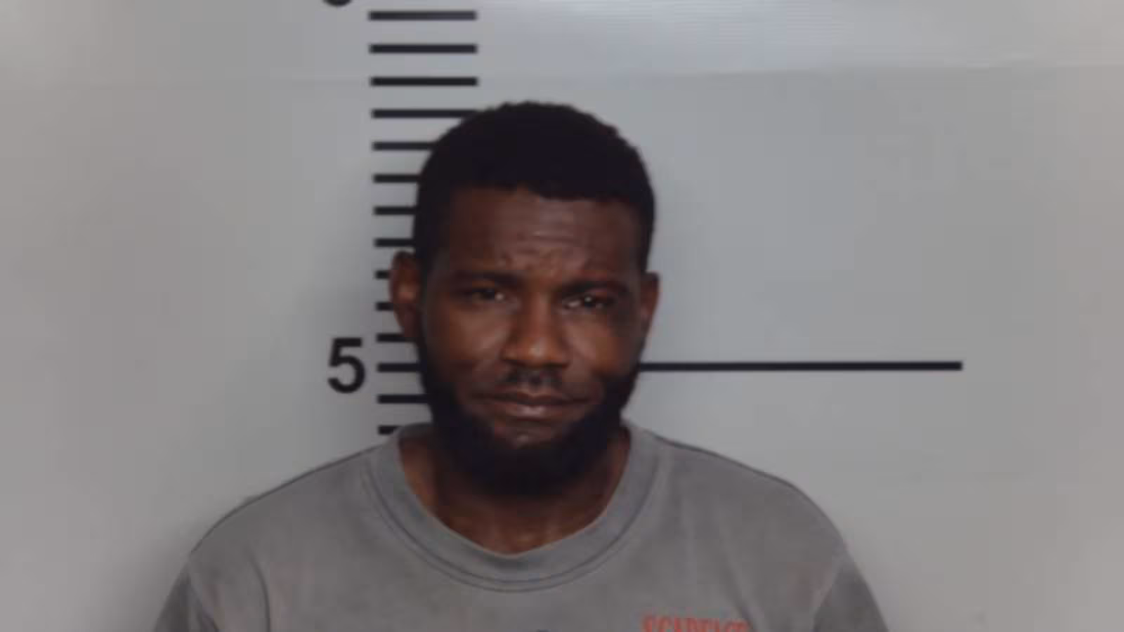 Man Faces Charges After Fatal Hit-and-run