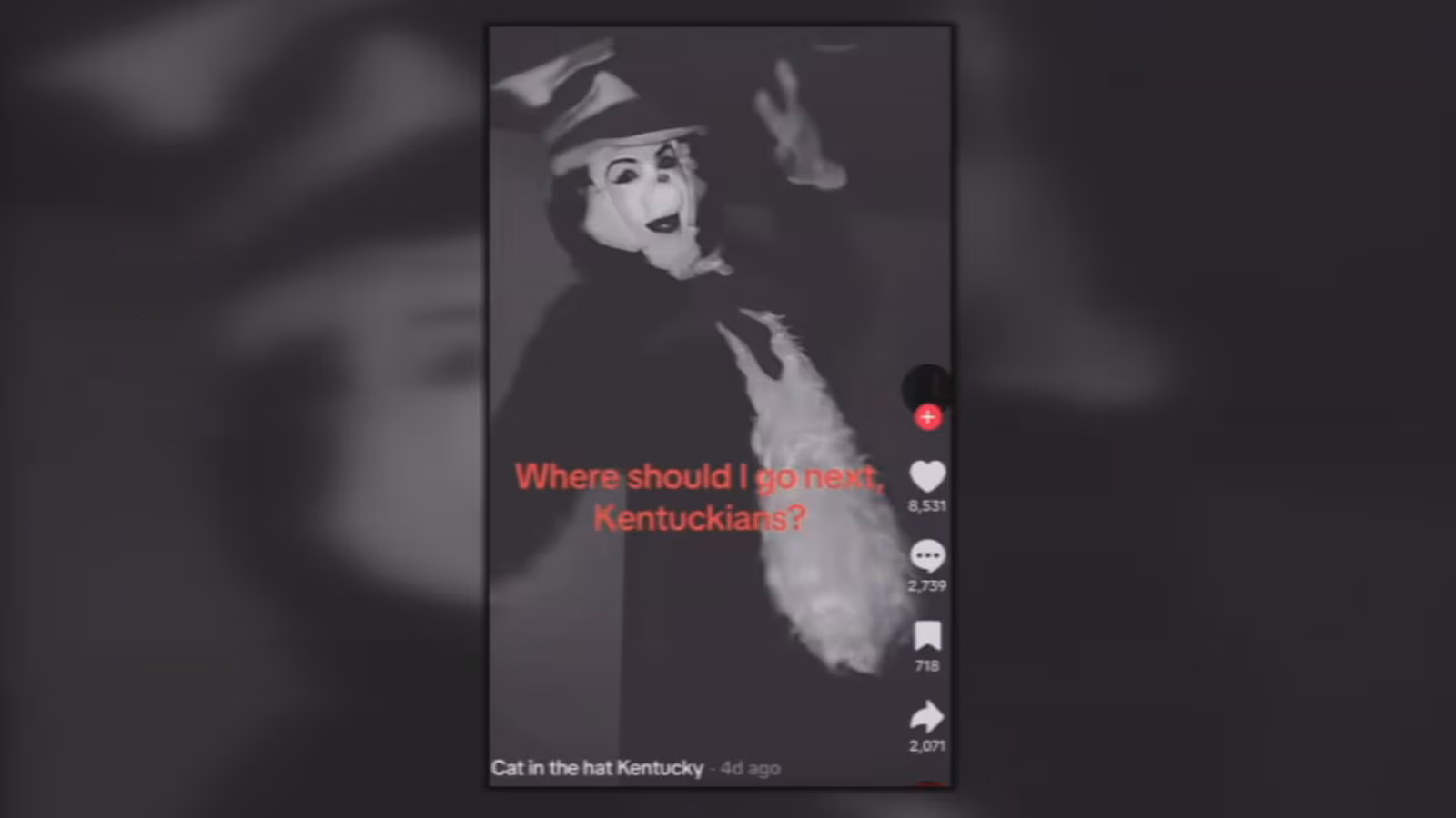 "Cat in the Hat" Trend Causing School Disruptions