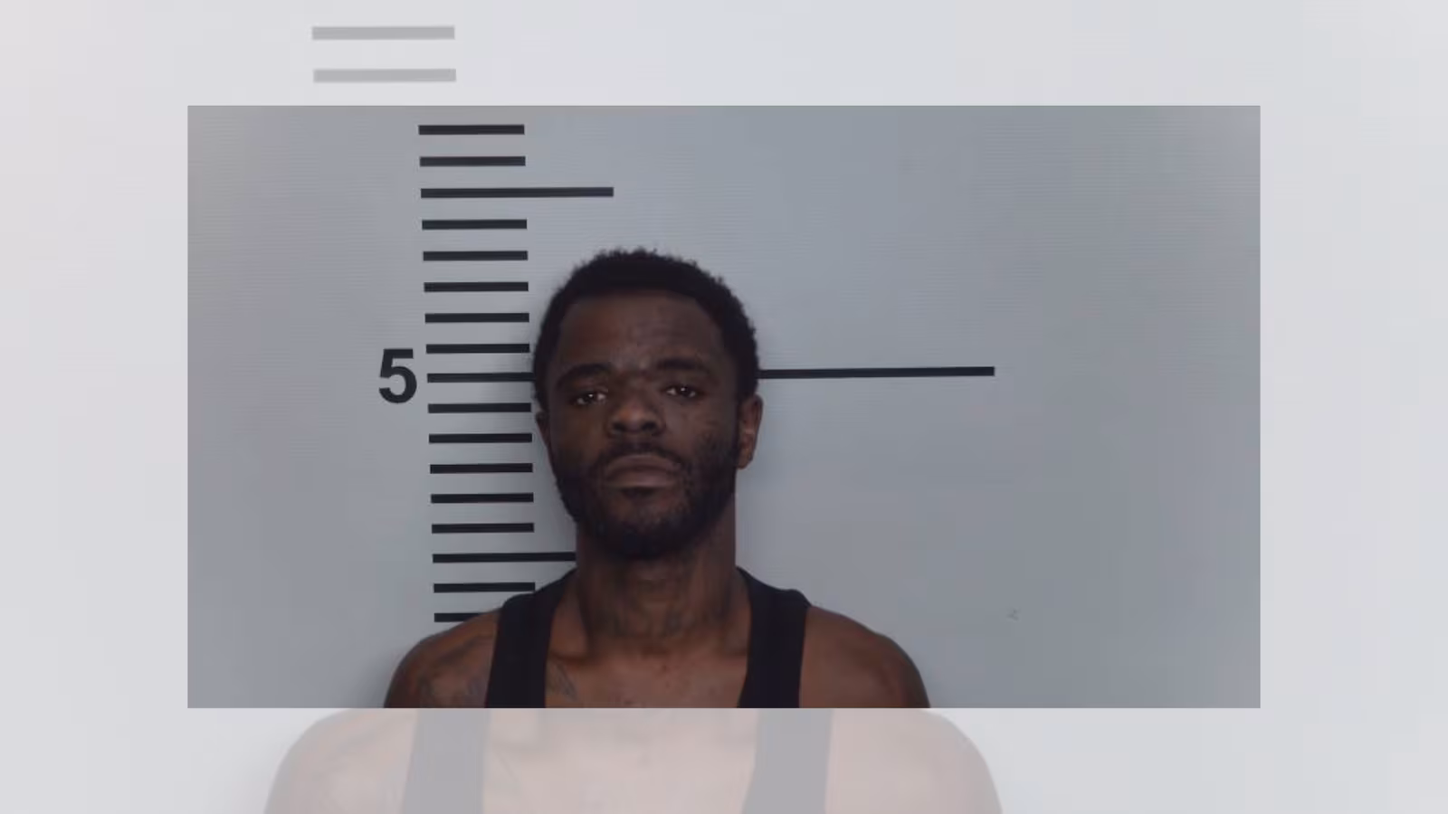 Louisville Man Attacks Pregnant Woman