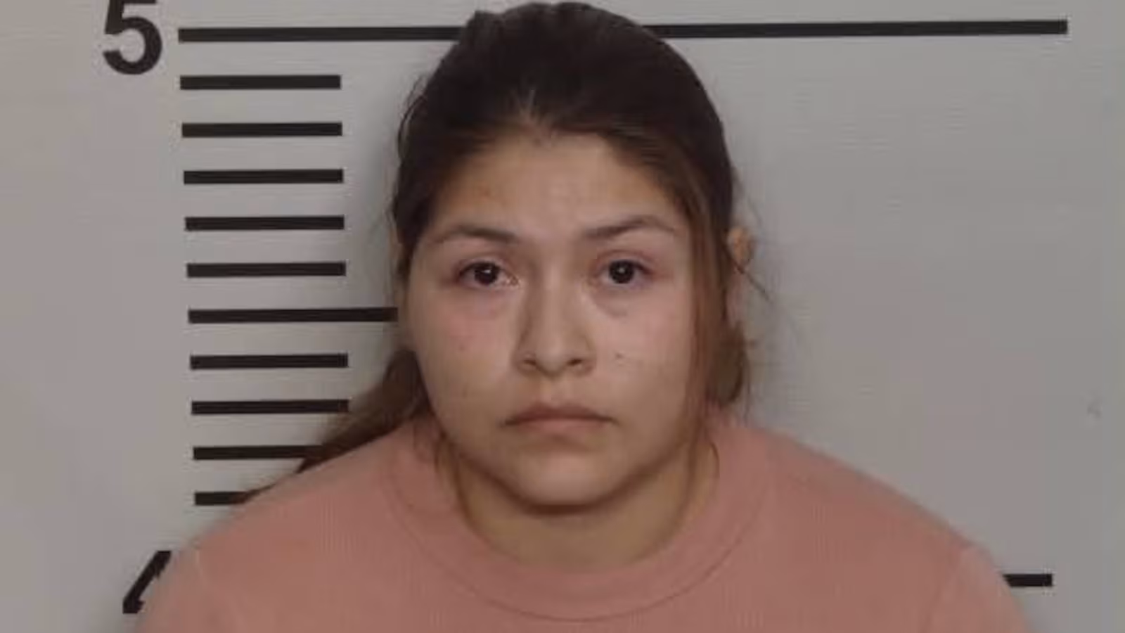 Mother Charged After Shaking Baby