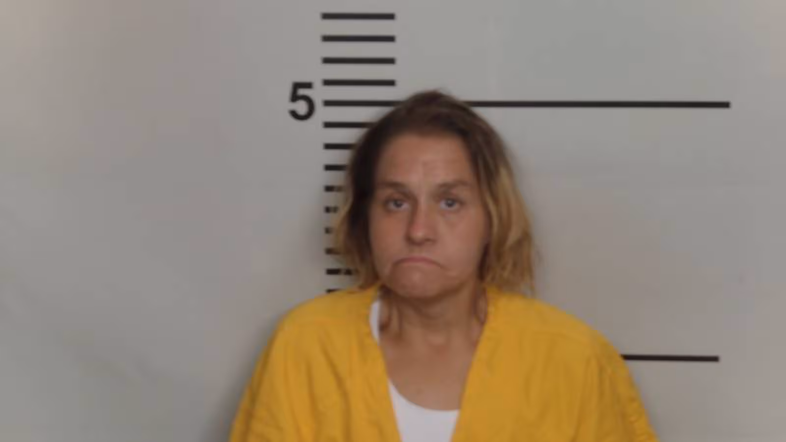 Louisville Woman Faces Trespassing Charges
